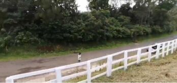 DE OPORTUNIDAD BELLA PROPIEDAD EN SARCHI.  en Sarchí Norte, Sarchí, Alajuela — 15 000 000 ₡ - Foto 5 de 9