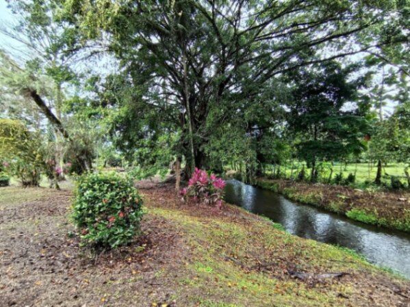 Venta de Hermosa Quinta y Casa en Río Jiménez de Guácimo. RAH 25-1944 Oportunidad Única in Río Jiménez, Guácimo, Limón — ₡ 58 000 000