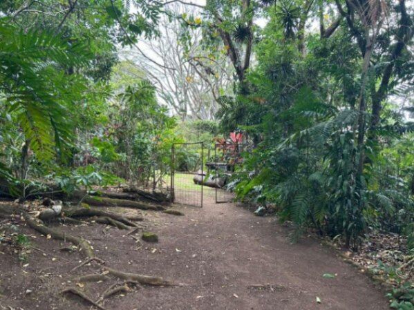 Venta de Maravilloso Lote de Terreno en Escazú / Mls. 26-1249 OFC JB in Escazú, San José — $2,000,000