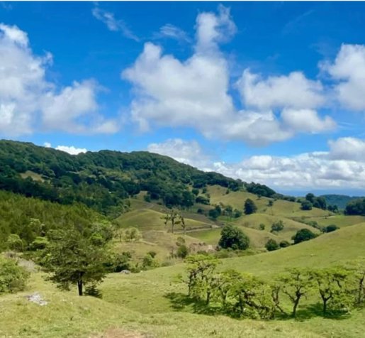 VENTA - Finca de 17 Hectáreas -  CARTAGO- PRECIO NEGOCIABLE en Patio De Agua, El Guarco, Cartago — ₡ 262 500 000