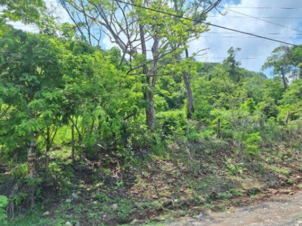 Venta de Lote en Barranca, Puntarenas. RAH 25-2040 en Barranca, Puntarenas — ₡ 30 000 000