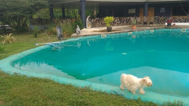PROPIEDAD EN VENTA RÁPIDA REBAJADA – PRECIO DE OPORTUNIDAD el Caribe Sur  in Bratsi, Talamanca, Limón — ₡ 204 000 000