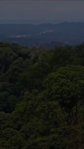 PARA INVERSIONISTAS, FINCA EN QUEPOS, COSTA RICA.  en Quepos, Puntarenas — $2,000,000