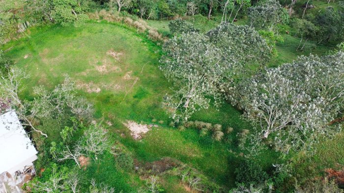 Terreno amplio de 2.500 m² en Santiago, San Ramón, Costa Rica en Santiago, San Ramón, Alajuela — $171,000