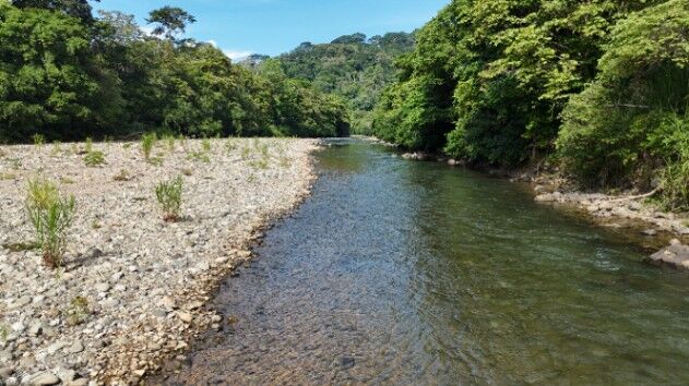 SE VENDE FINCA COMPLETAMENTE PLANA IDEAL PARA DESARROLLO E INVERSION CERCA DE DOMINICAL in San Isidro De El General, Pérez Zeledón, San José — $1,600,000