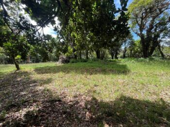 Venta de Lote en Dota, San José. RAH 25-1964 en Jardín, Dota, San José — 16 500 000 ₡ - Foto 4 de 10