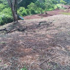 PRECIOSO LOTE EN BIJAGUAL DE TURRUBARES en Jacó, Garabito, Puntarenas — $50,000 - Foto 4 de 9