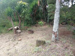 🏡🌳 LOTE EN SAN PEDRO DE BARVA – EL BOSQUE 📐 ÁREA: 214,87 m² 🌳🏡  📍 en San Pedro, Barva, Heredia — 40 000 000 ₡ - Foto 5 de 8