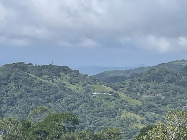 SE VENDE (VENTA) FINCA, SAN RAMON PIEDADES SUR, Código # GU1003 in San Ramón, Alajuela — ₡ 295 000 000 - Photo 3 of 11