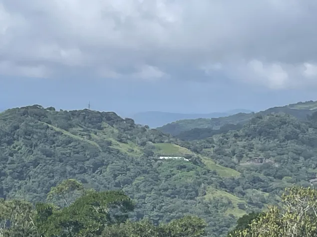 SE VENDE (VENTA) FINCA, SAN RAMON PIEDADES SUR, Código # GU1003 in San Ramón, Alajuela — ₡ 295 000 000 - Photo 3 of 11