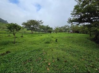 Property for sale in Zarcero