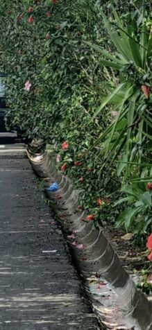 SE VENDEN 2 BELLOS LOTES EN SAN RAFAEL DE DESAMPARADOS.  en San Rafael Arriba, Desamparados, San José — ₡ 55 000