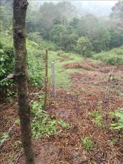 Land For Sale San Isidro, El Guarco, Cartago