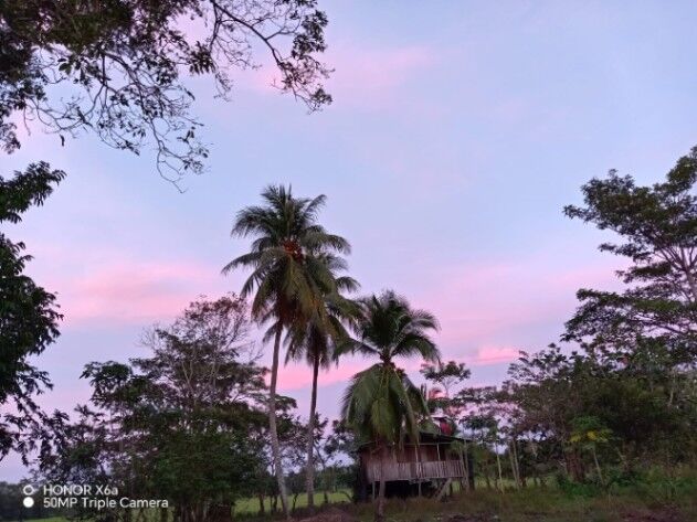 SE VENDE BELLA FINCA EN SAN JOSÉ DE UPALA.  en Upala, Alajuela — ₡ 6 000 000