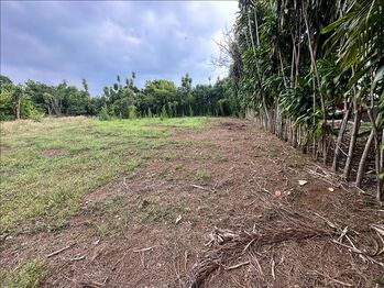 Lote en Venta Puente De Piedra, Grecia, Alajuela