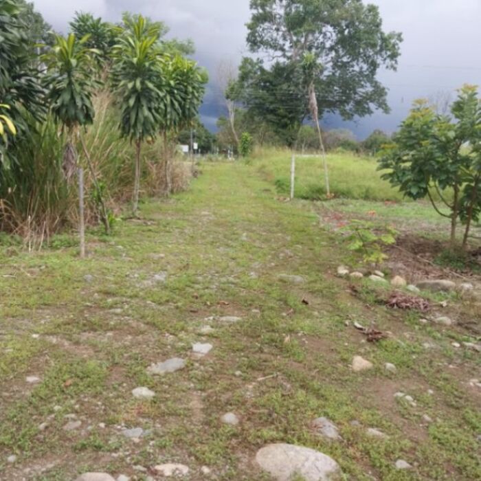 Terreno Exclusivo en Palma Coco, Palmares de Pérez Zeledón, San José, Costa Rica. in Daniel Flores, Pérez Zeledón, San José — ₡ 25 000 000