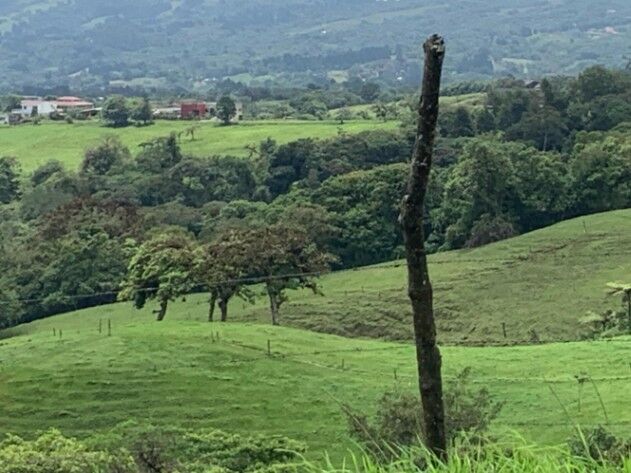 Venta de Lote en Vâsquez de Coronado, San José. RAH 25-1695 en Dulce Nombre de Jesús, Vázquez de Coronado, San José — $125,100