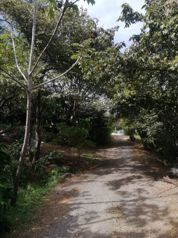Lote en Santa Ana para Desarrollador en Pozos, Santa Ana, San José — $1,614,080 - Foto 5 de 10