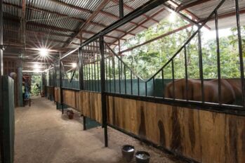 Propiedad en Cocles, Limón, Costa Rica– Potencial turístico, hotelero o residencial en Cahuita, Talamanca, Limón — $350,000 - Foto 5 de 10