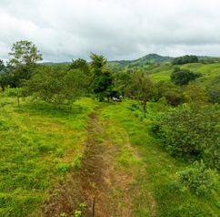 Propiedad excepcional de 12.000 m² con dos lagos, río y bosque — Nuevo Arenal, Guanacaste en Arenal, Tilarán, Guanacaste — 156 000 000 ₡ - Foto 4 de 17