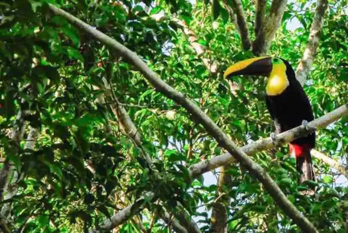 Lote con vista a las montañas en Jacó, Garabito, Puntarenas — $75,000