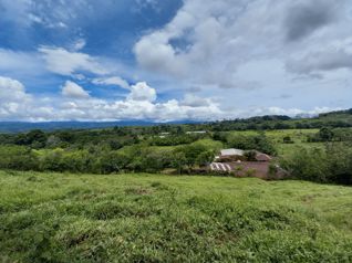 Finca con Casa Cabaña en Paraíso de Cajón, Pérez Zeledón en Cajón, Pérez Zeledón, San José — $350,000 - Foto 3 de 20