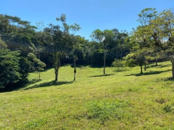 Venta de hermosa finca de 6.3 Hectáreas.  en Río Cuarto, Alajuela — $250,000