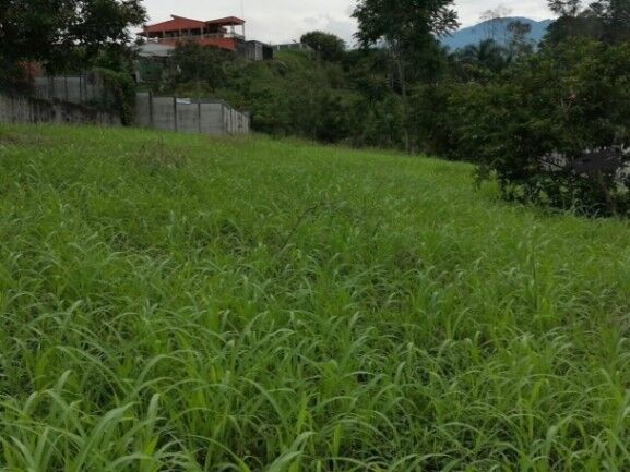 MLS-25-1080 VENTA LOTE LA DOMINICA TURRIALBA in Turrialba, Cartago — $200,000