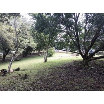 Lote en Venta La Ceiba, Orotina, Alajuela