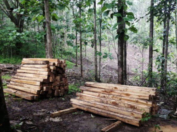 30 HA DE TECA EN TURRUBARES en San Pedro, Turrubares, San José — ₡ 300 000 000