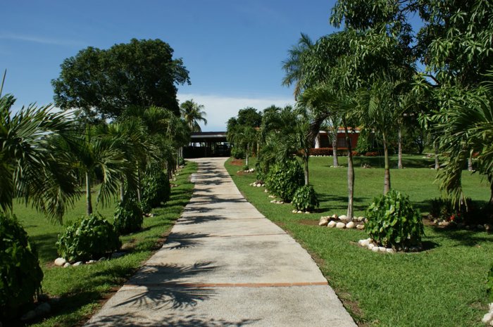 Finca impresionante de 14 hectáreas con vistas espectaculares in San Mateo, Alajuela — $1,150,000 - Photo 3 of 27