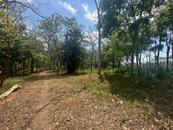 Se vende amplia propiedad con 18,900m2 en San Rafael de Puriscal 24-1482 en San Rafael, Puriscal, San José — $600,000 - Foto 4 de 13