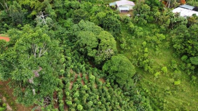 VENTA DE LOTE CON VISTAS DE ENSUEÑO EN PLATANARES in Cajón, Pérez Zeledón, San José — $47,000