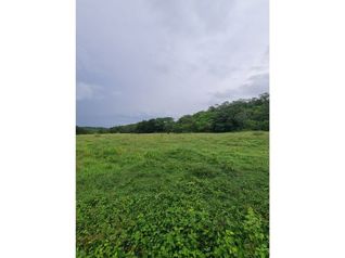 Finca para agroindustria en Bagaces 623 Hectareas - Photo 2 of 3