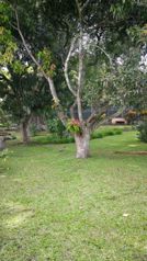 SE VENDE LOTE PARA CONSTRUIR EN  ESCAZU SUELO  RESIDENCIAL SARETTO en San Rafael, Escazú, San José — $525,000 - Foto 4 de 35