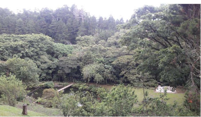 Finca de ensueño en las montañas de Santa Bárbara, Heredia 3,7 Acres en Santo Domingo, Santa Bárbara, Heredia — $740,000