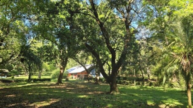 Finca privada en venta en San Mateo, Costa Rica: 1 hectárea con arroyo y varias estructuras . in San Isidro De El General, Pérez Zeledón, San José — $400,000