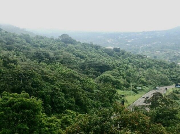 Venta de Lote en Palmares de Alajuela. en La Granja, Palmares, Alajuela — ₡ 1 040 000 000
