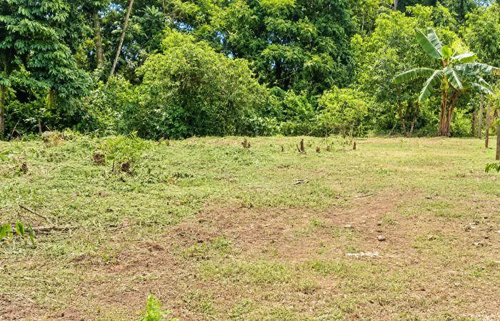 Lot For Sale In Jiménez De Pococí, Limón in Jiménez, Pococí, Limón — ₡ 12 000 000 - Photo 2 of 2
