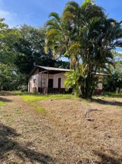 Finca en Venta en Upala | 7 Hectáreas Planas Producción de Piña