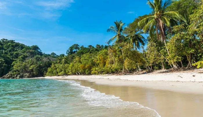 LAS VEGAS DE PARRITA, IDEAL PARA PROYECTOS VARIOS en Parrita, Puntarenas — $300,000 - Foto 3 de 29