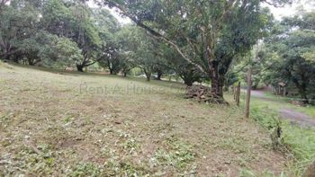 Venta de Lote en Turrubares. RAH 27-866 OPORTUNIDAD ÚNICA en San Juan De Mata, Turrubares, San José — 65 000 000 ₡ - Foto 5 de 10