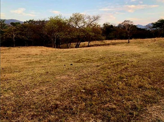 VENTA DE LOTE, GUANACASTE, SANTA CRUZ en Santa Cruz, Guanacaste — $50,000
