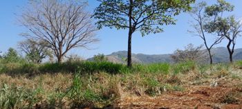 A 12 minutos de Playa Samara, Hermoso Terreno!!!! in Belén de Nosarita, Nicoya, Guanacaste — 168 000 000 ₡ - Photo 5 of 19
