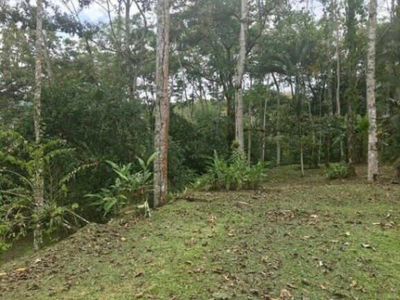 MLS-25-1078 VENTA FINCA LA ISABEL TURRIALBA en La Isabel, Turrialba, Cartago — ₡ 90 000 000
