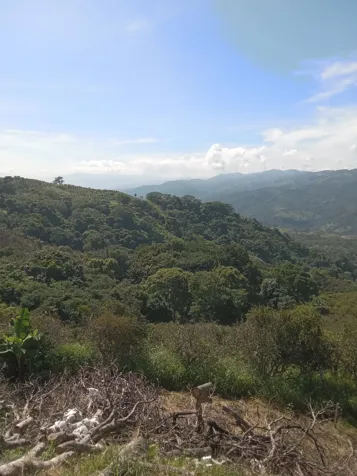 SE VENDE BELLA Y ESPECTACULAR PROPIEDAD EN BARROETA DE ATENAS. en Atenas, Alajuela — ₡ 90 000 000 - Foto 3 de 7