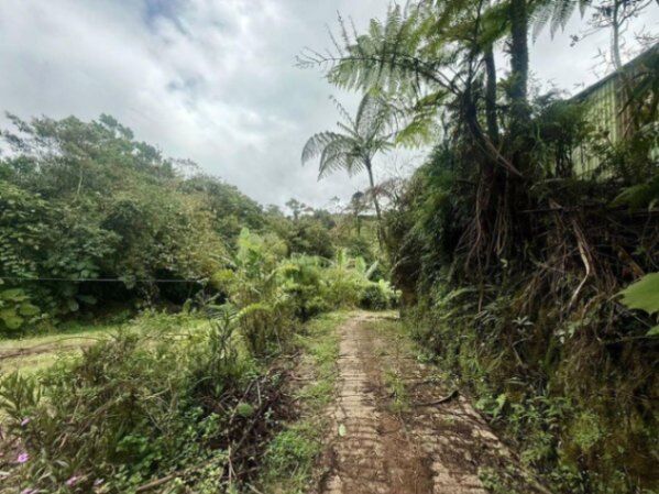 Se vende lote de 8,800m2 en Varablanca de Heredia 26-384 in Vara Blanca, Heredia — $445,000 - Photo 3 of 21