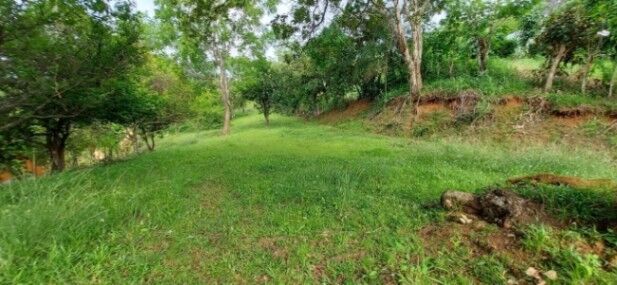 SE VENDE PRECIOSA PROPIEDAD EN TURRUBARES, SAN JOSÉ.  en San Luis, Turrubares, San José — ₡ 30 000 000