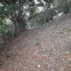 Buildable land with tranquility in a tourist area in Curubandé, Liberia, Guanacaste — $384,000 - Photo 3 of 5
