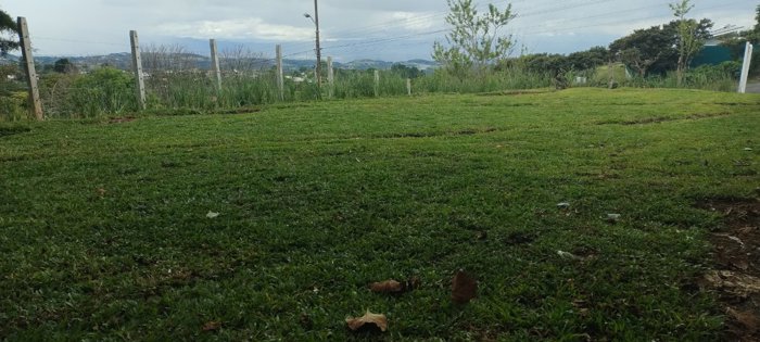Lot for Sale in San Isidro de Grecia – Stunning Views in San Isidro, Grecia, Alajuela — ₡ 22 500 000